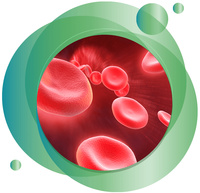 Car-T Cell Therapy Service